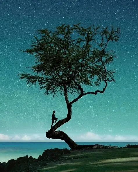 如何分析和模仿一位摄影师的前后期风格