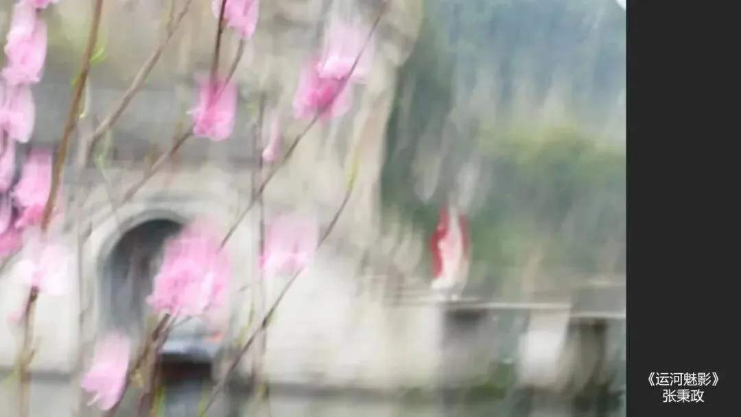 这照片能得奖？别拿“艺术”当圈子文化的遮羞布！