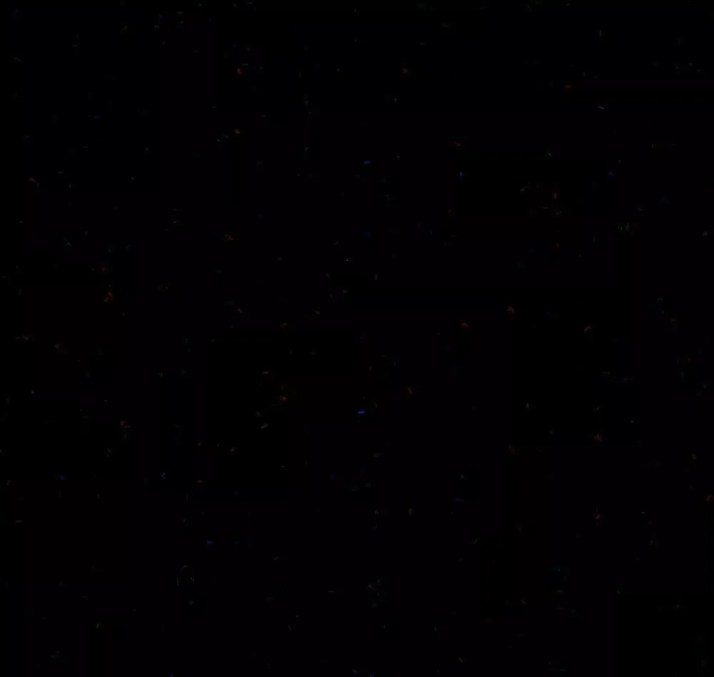 星空摄影技巧全揭秘，包括星轨拍摄与星空降噪技法! (下)