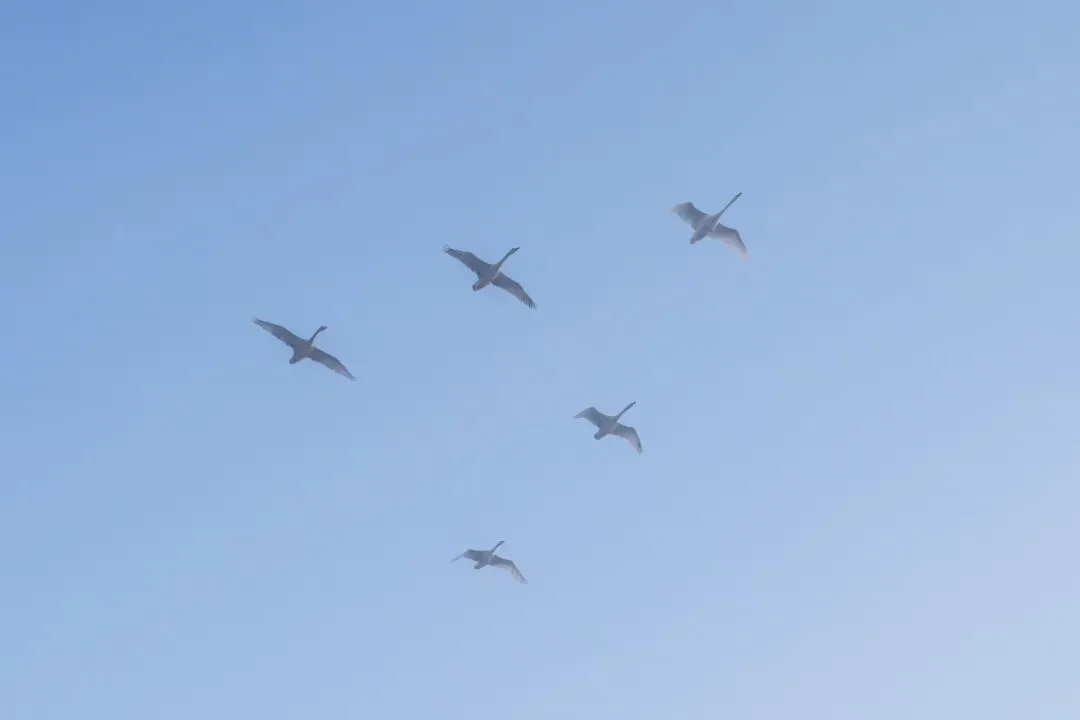 给风景以文明 - 风光摄影师的2023拍摄总结