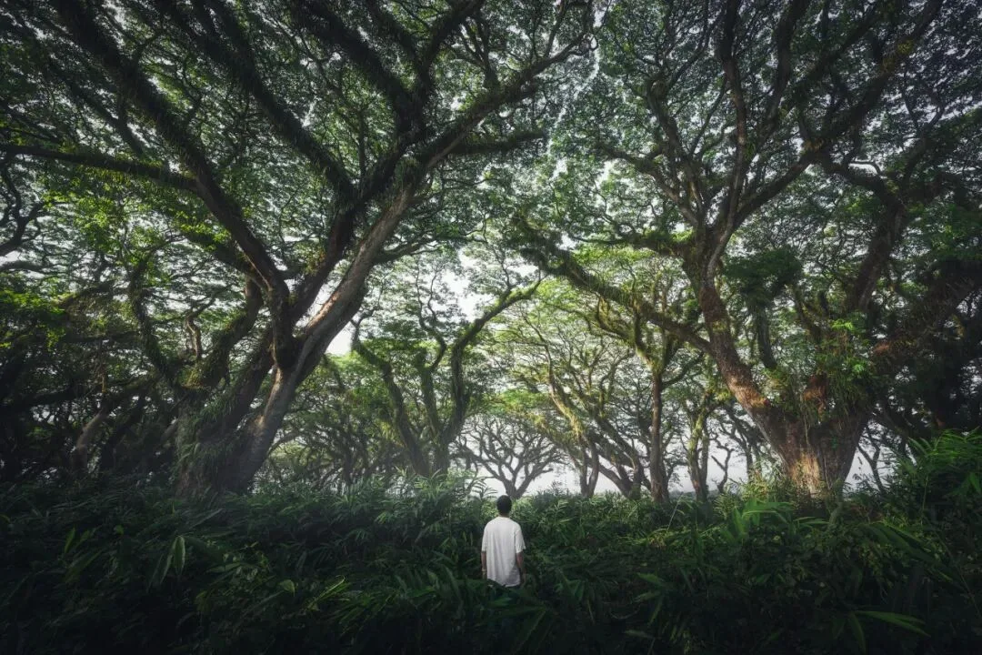 给风景以文明 - 风光摄影师的2023拍摄总结