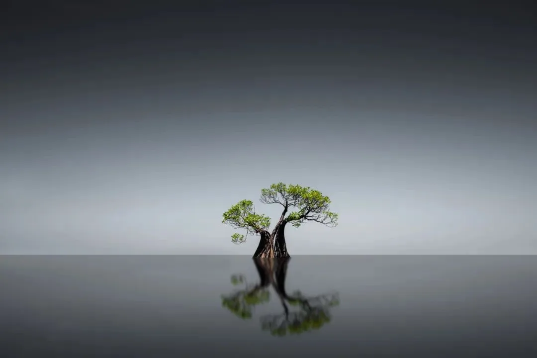 给风景以文明 - 风光摄影师的2023拍摄总结