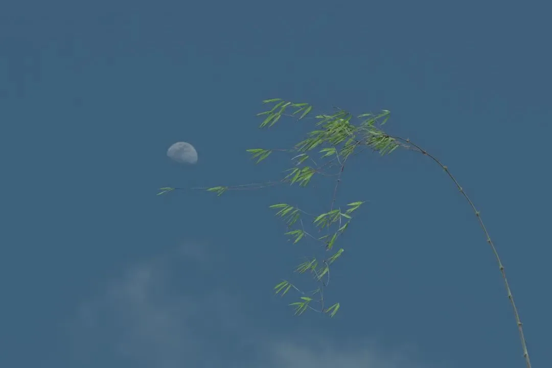 给风景以文明 - 风光摄影师的2023拍摄总结