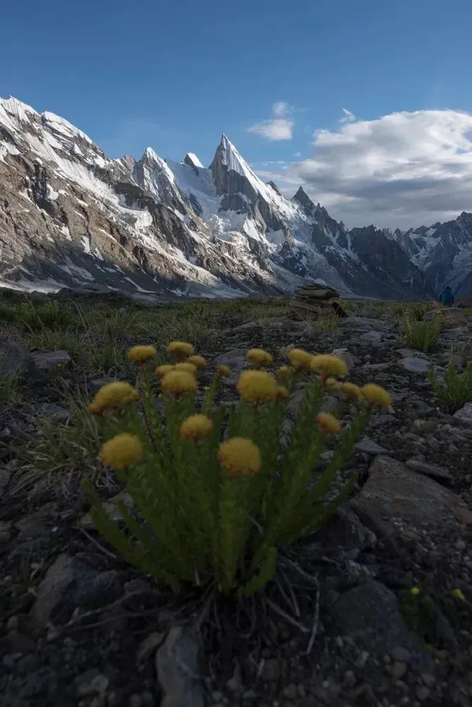 Color Grading Talk: Three Key Colors That Build Photographic Mood
