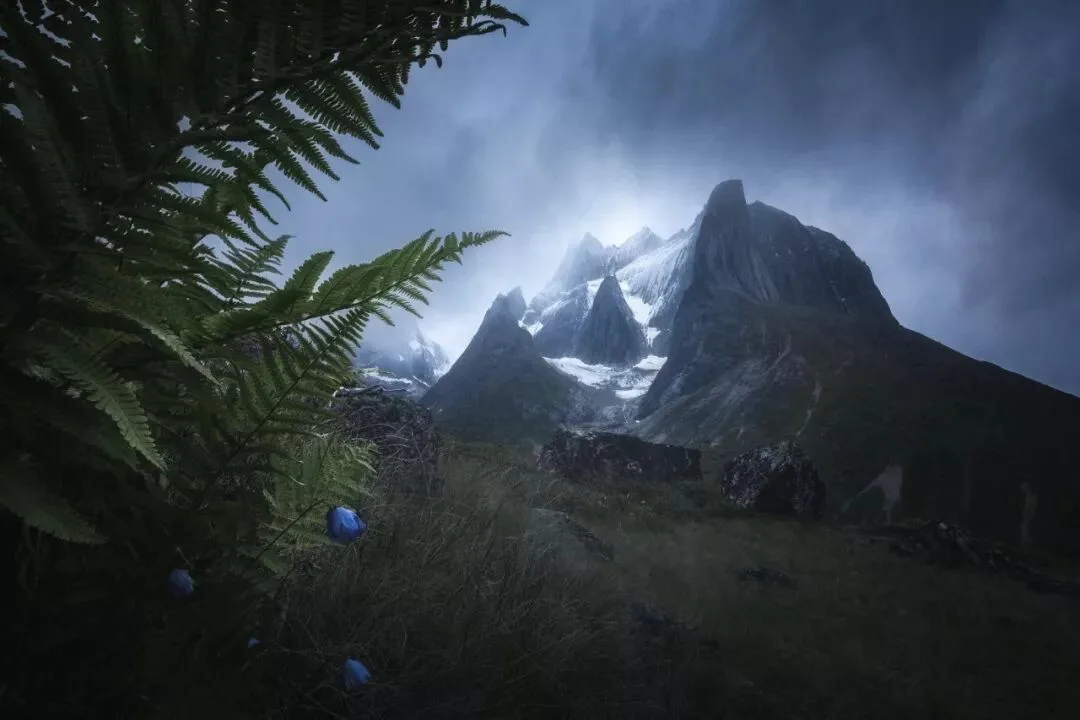 Color Grading Talk: Three Key Colors That Build Photographic Mood