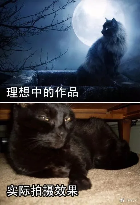 光会减法还不够，如何做好摄影中的“加法”？