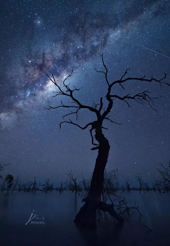 Everything You Want to Know About Composition