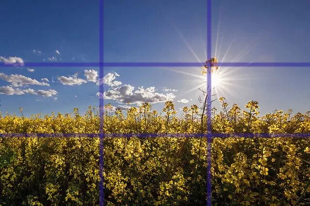 Everything You Want to Know About Composition