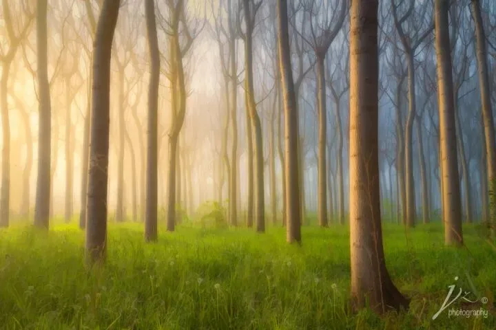 Everything You Want to Know About Composition