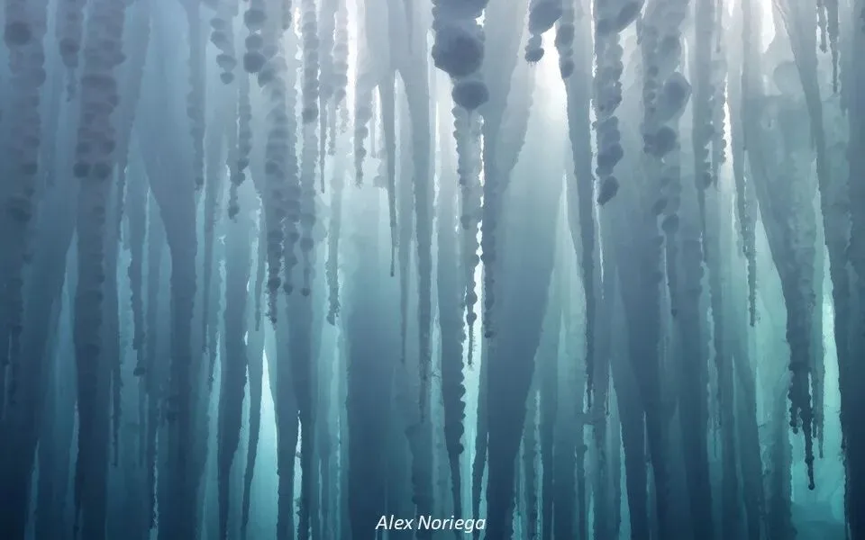 Repetition and Echo: A Key Composition Concept from 10,000 Photos