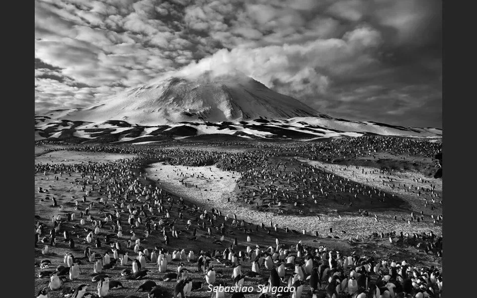 Repetition and Echo: A Key Composition Concept from 10,000 Photos