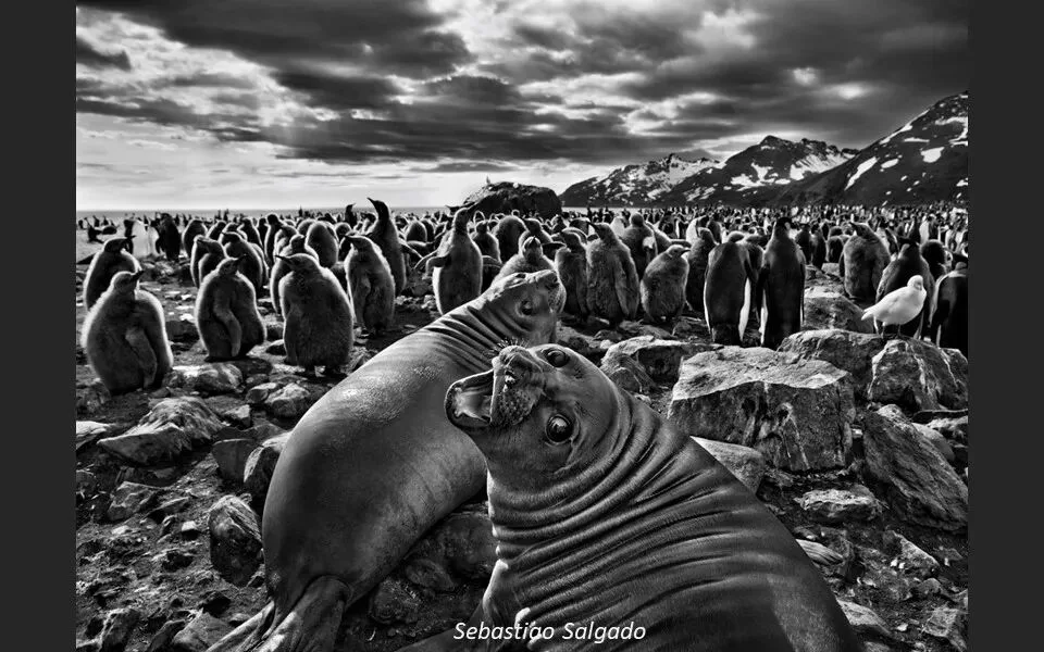 Repetition and Echo: A Key Composition Concept from 10,000 Photos