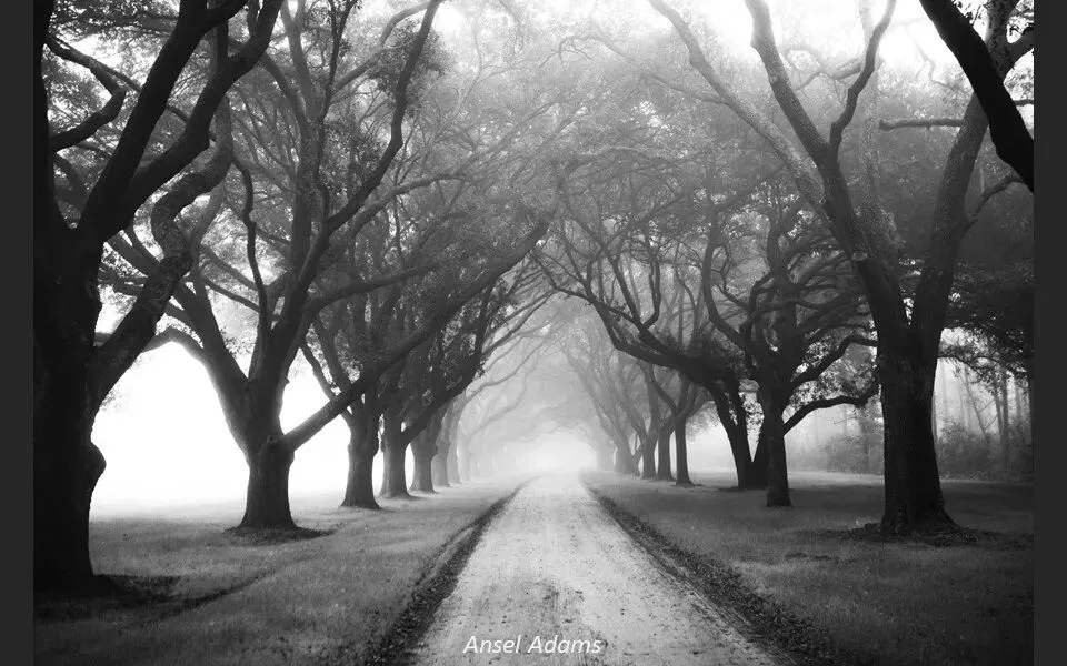 Repetition and Echo: A Key Composition Concept from 10,000 Photos
