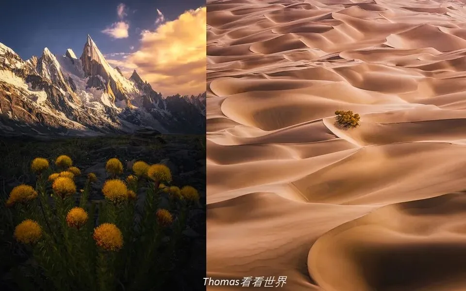 Repetition and Echo: A Key Composition Concept from 10,000 Photos
