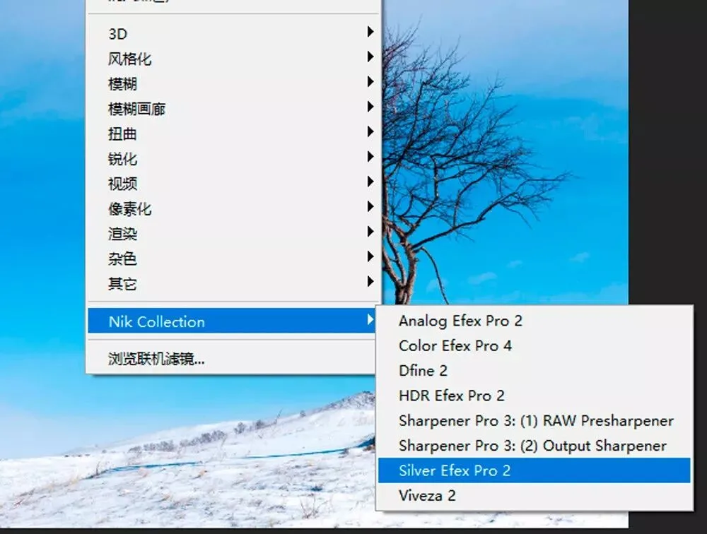 托马斯给你评片啦 | 小小一颗树, 拍好不容易！