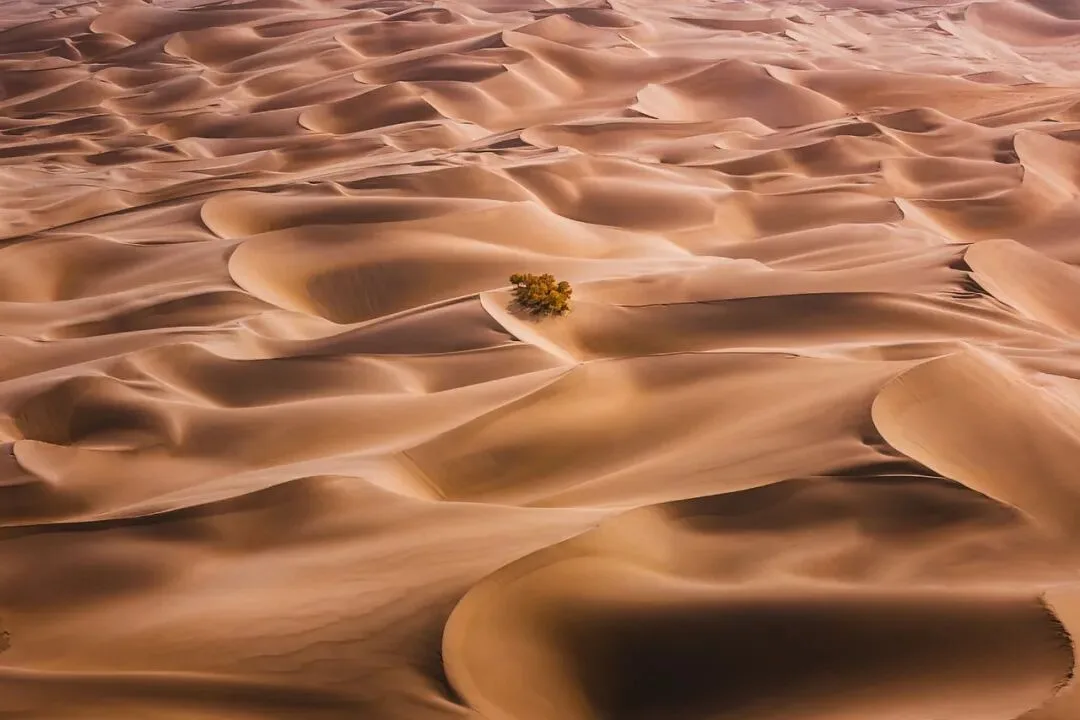 Drones Aren't Just for Top-Down Shots: Finding the Best Angle from the Air
