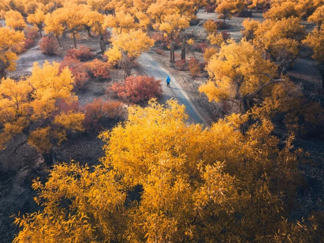 Drones Aren't Just for Top-Down Shots: Finding the Best Angle from the Air
