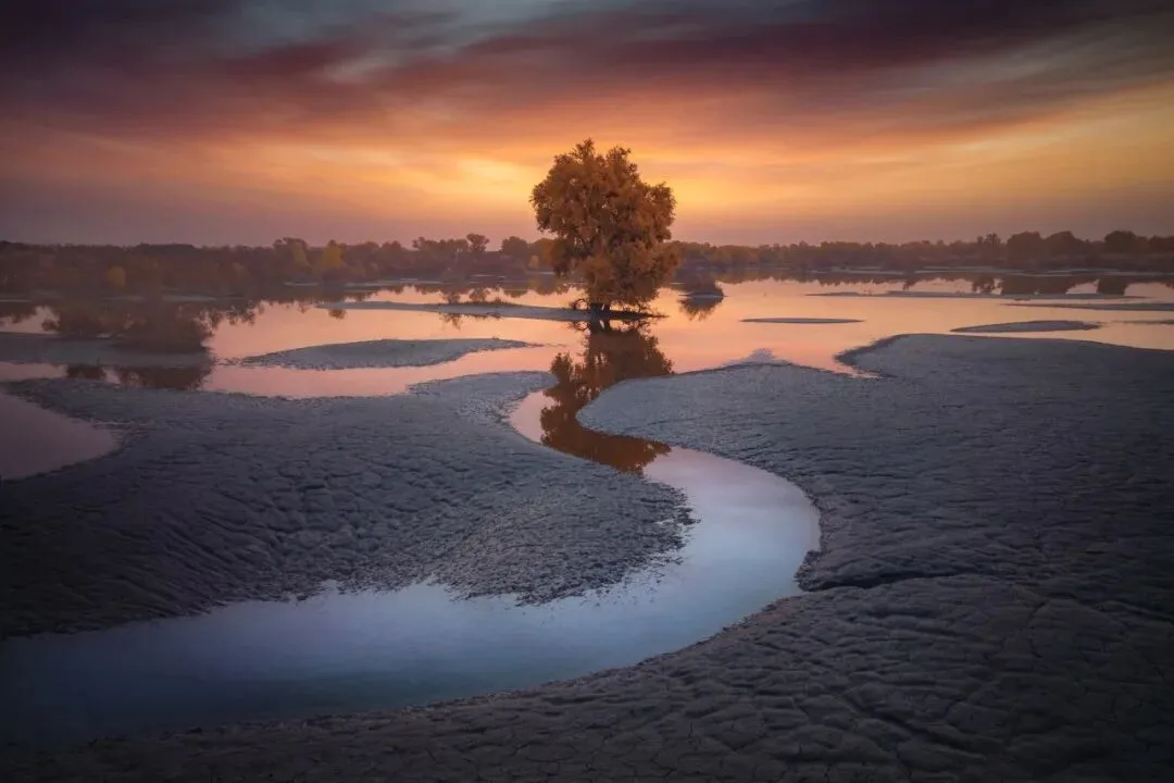 Drones Aren't Just for Top-Down Shots: Finding the Best Angle from the Air