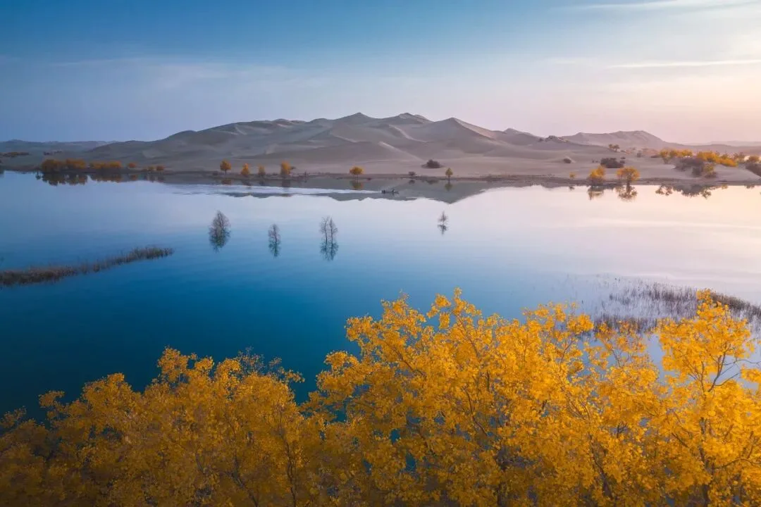 Drones Aren't Just for Top-Down Shots: Finding the Best Angle from the Air