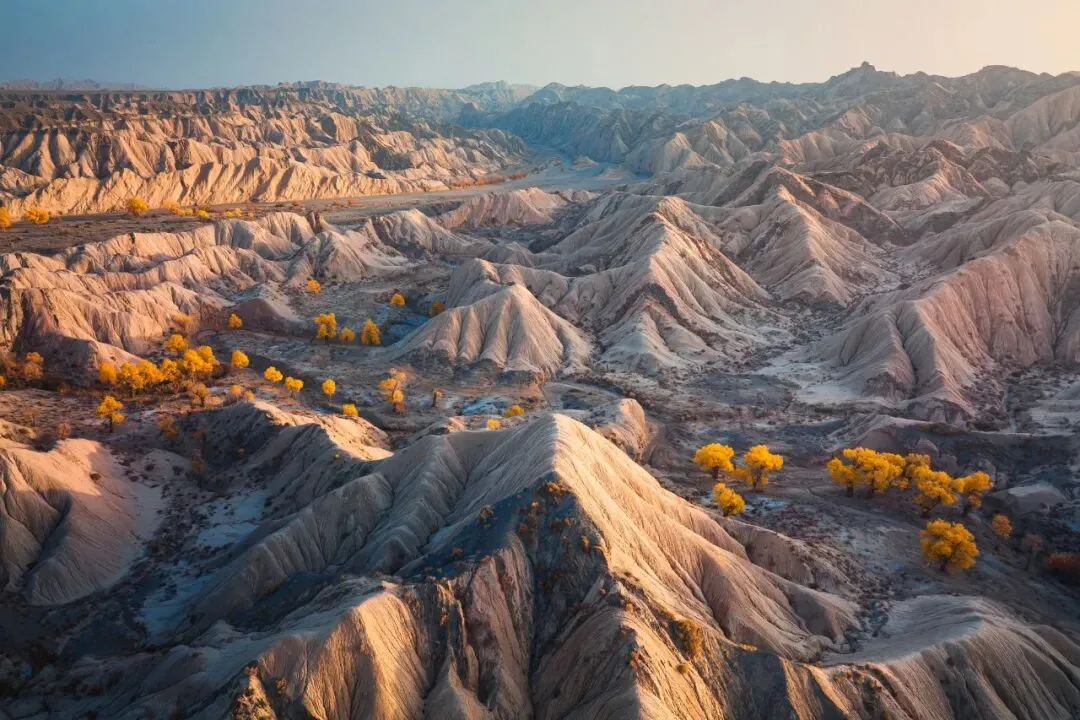 Drones Aren't Just for Top-Down Shots: Finding the Best Angle from the Air
