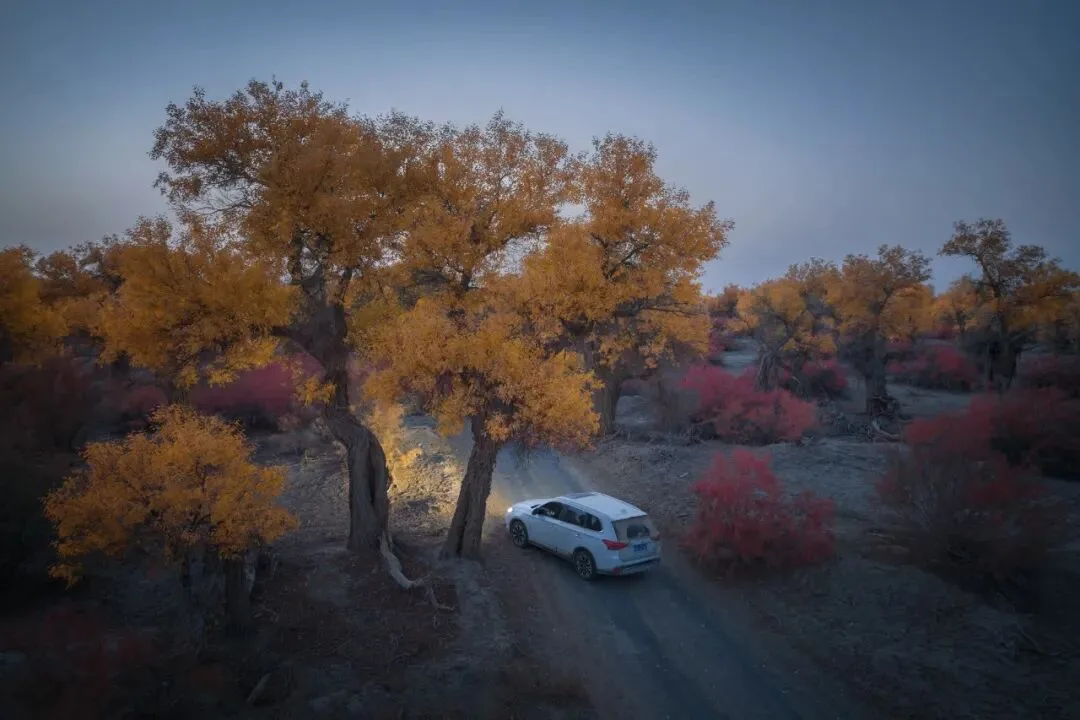 Drones Aren't Just for Top-Down Shots: Finding the Best Angle from the Air