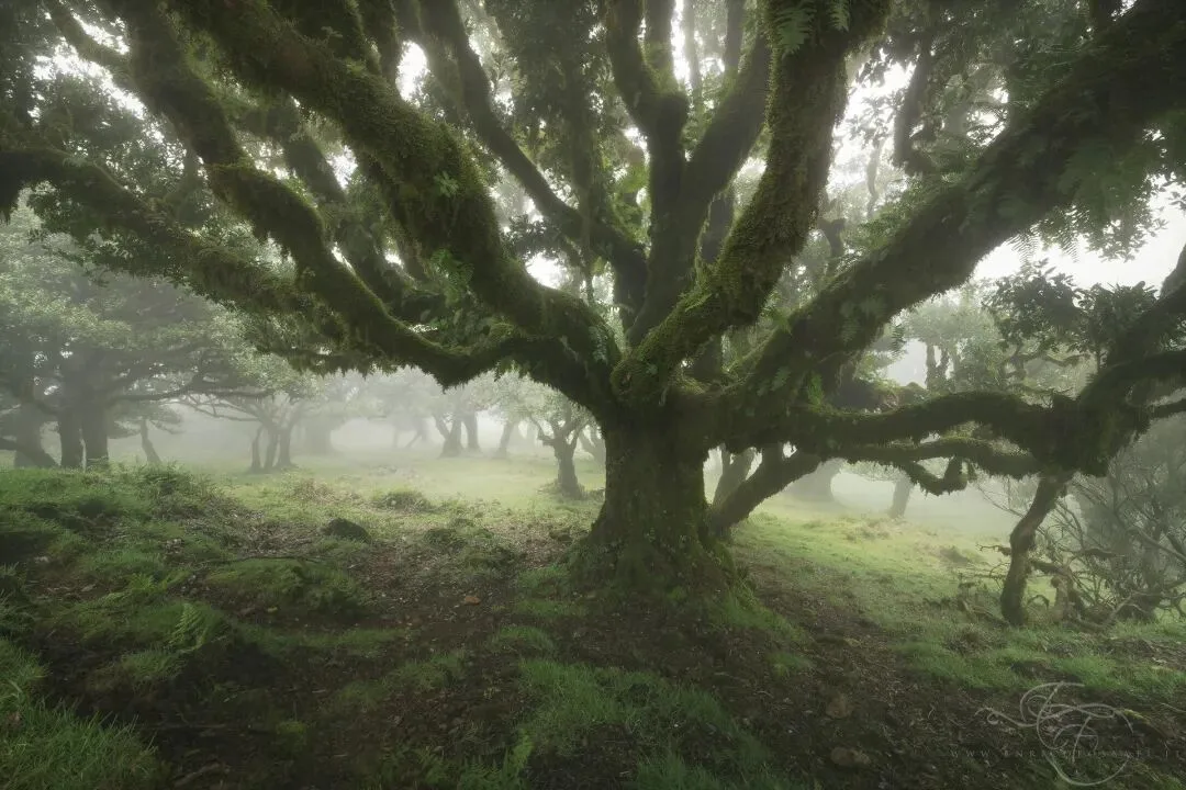 风光摄影高手对话 |  Enrico Fossati：做一个简单的梦