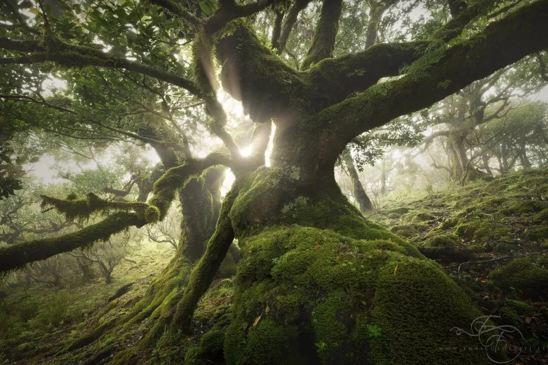 风光摄影高手对话 |  Enrico Fossati：做一个简单的梦