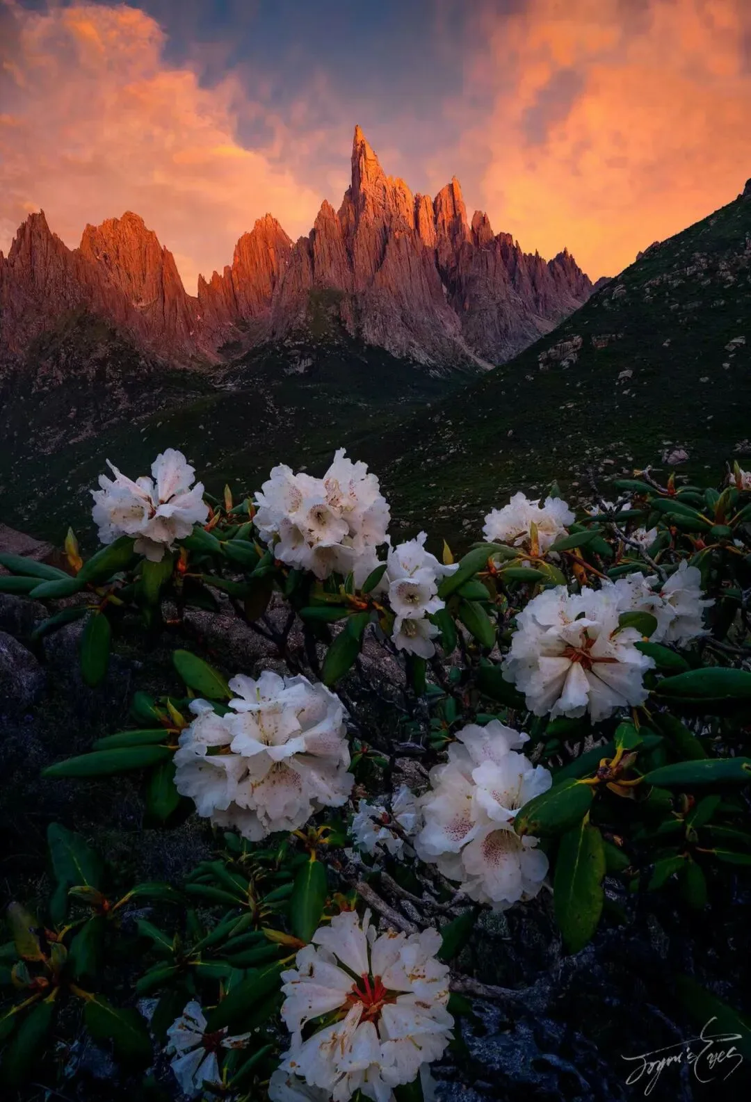 太美了吧！摄影师5年深度拍摄了四川青海交界处的这处仙境！