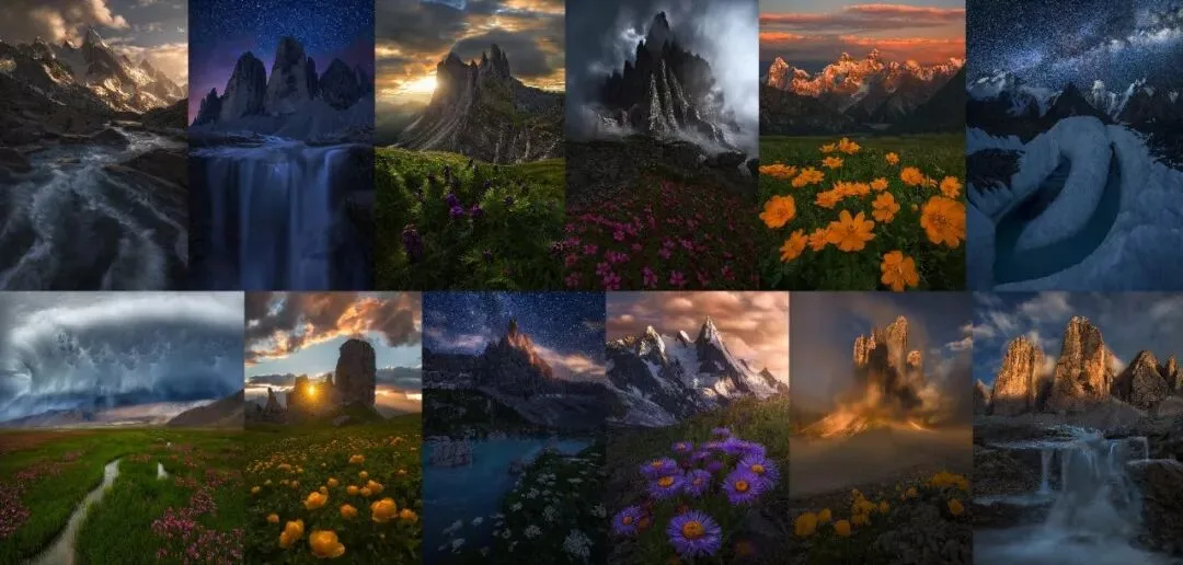Focus Stacking in Photography: Everything You Want to Know