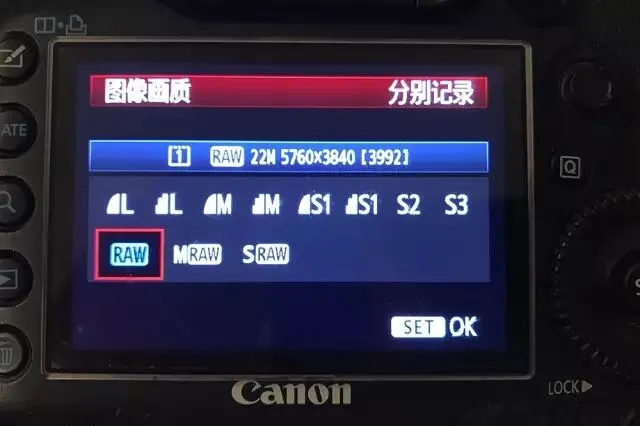 Focus Stacking in Photography: Everything You Want to Know