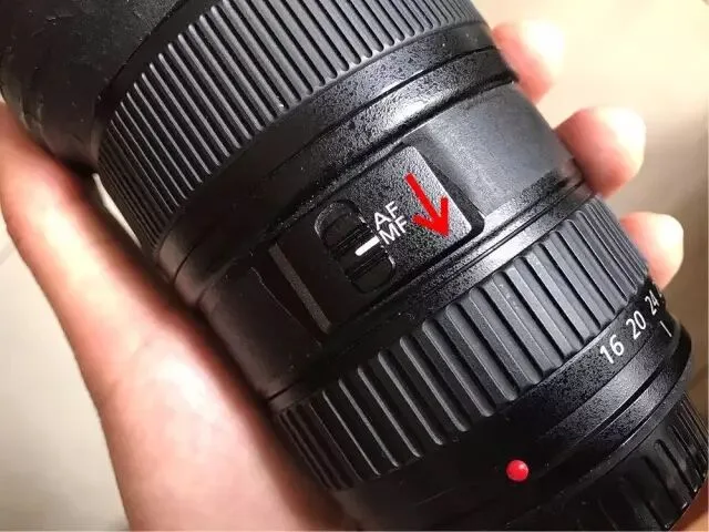 Focus Stacking in Photography: Everything You Want to Know