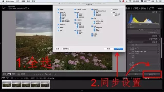 Focus Stacking in Photography: Everything You Want to Know