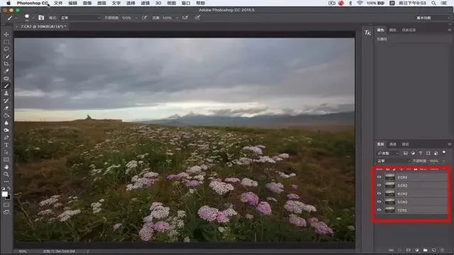 Focus Stacking in Photography: Everything You Want to Know