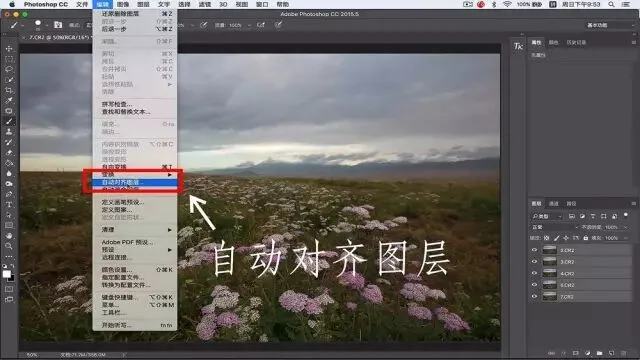 Focus Stacking in Photography: Everything You Want to Know
