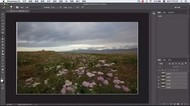 Focus Stacking in Photography: Everything You Want to Know