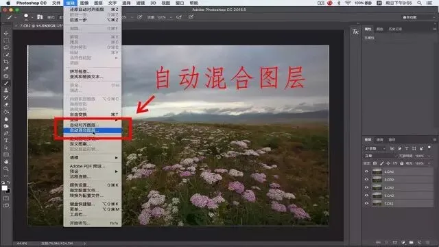 Focus Stacking in Photography: Everything You Want to Know