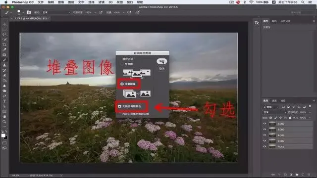 Focus Stacking in Photography: Everything You Want to Know