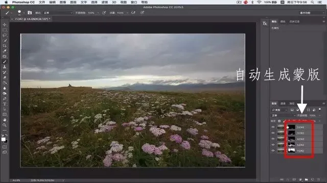Focus Stacking in Photography: Everything You Want to Know