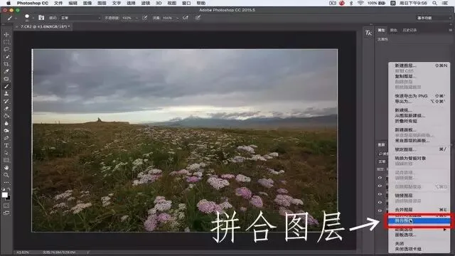 Focus Stacking in Photography: Everything You Want to Know