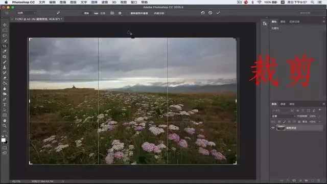 Focus Stacking in Photography: Everything You Want to Know