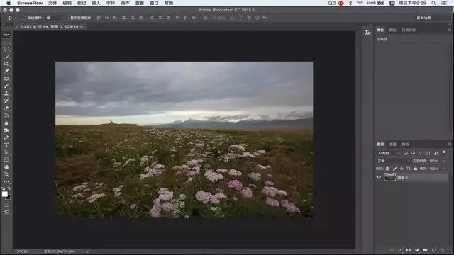 Focus Stacking in Photography: Everything You Want to Know