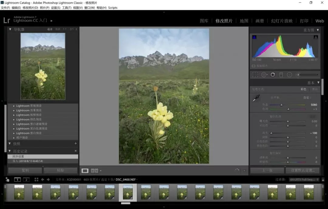 Focus Stacking in Photography: Everything You Want to Know
