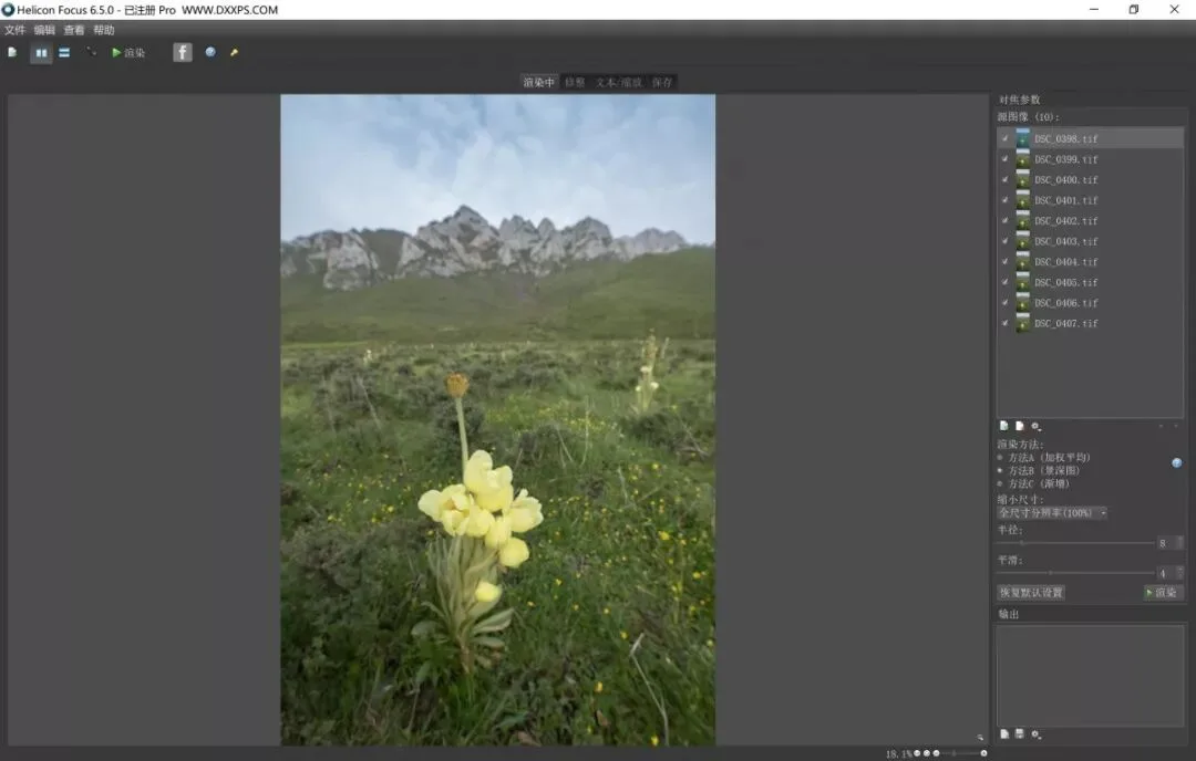 Focus Stacking in Photography: Everything You Want to Know
