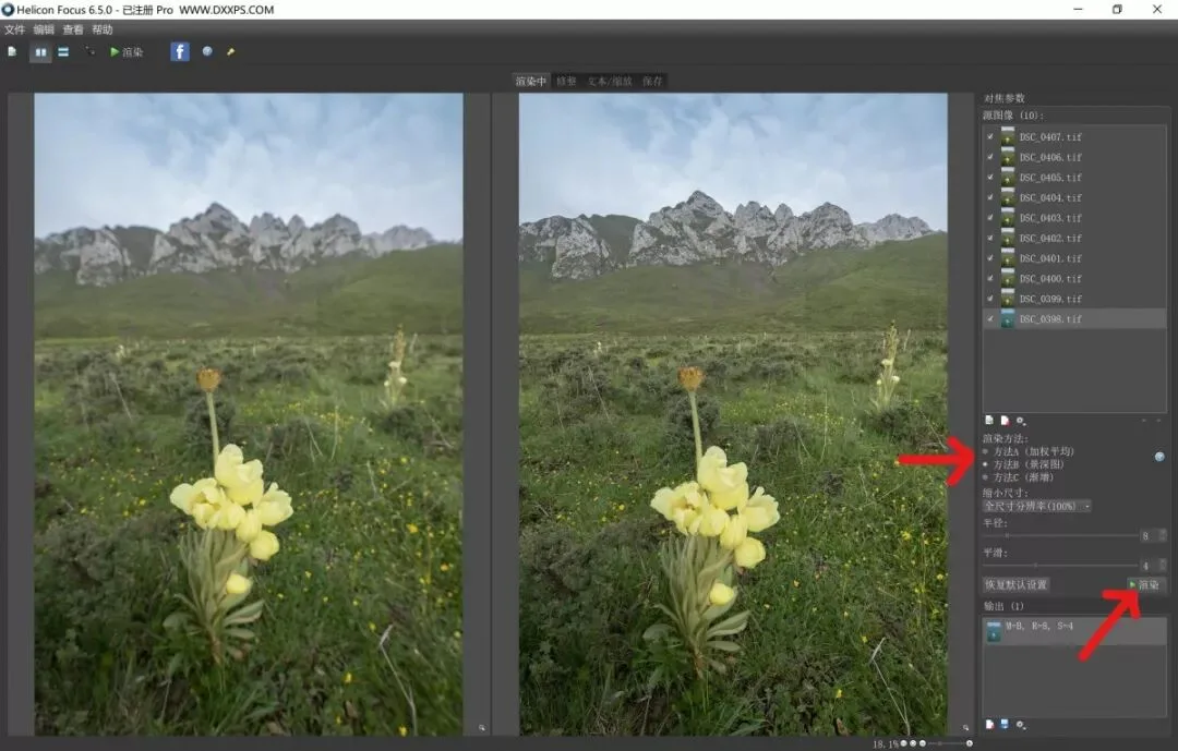 Focus Stacking in Photography: Everything You Want to Know