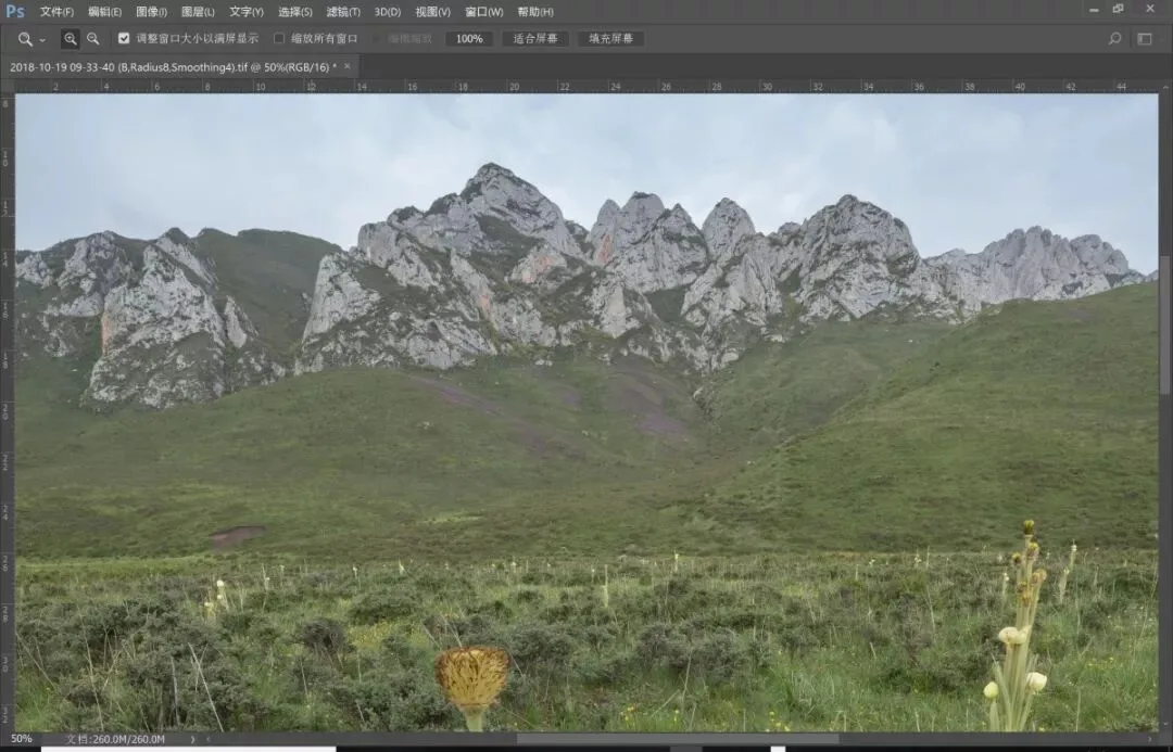 Focus Stacking in Photography: Everything You Want to Know
