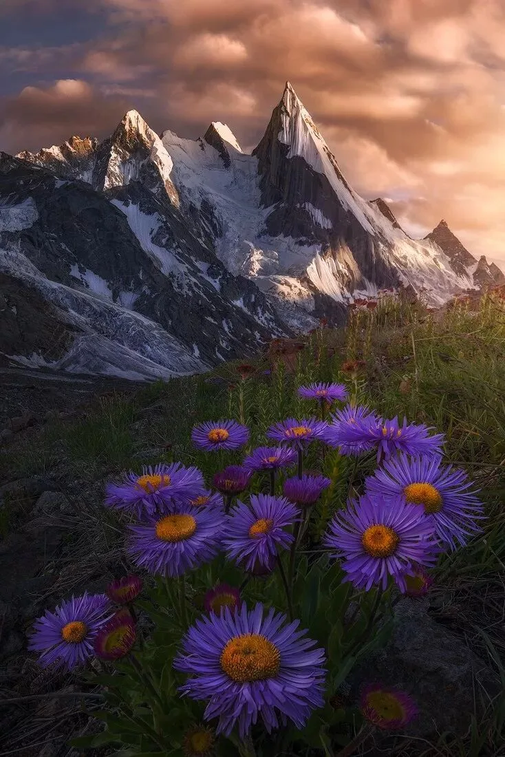 Focus Stacking in Photography: Everything You Want to Know