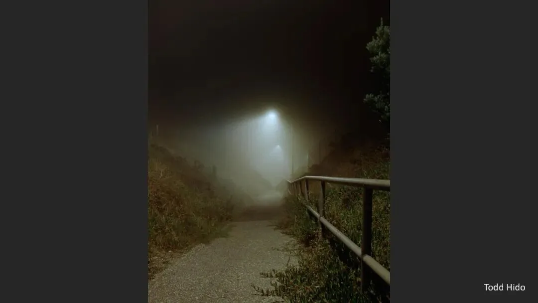 Great Shots in Fog and Haze? Ideas for Fog, Haze and Sandstorm Photography