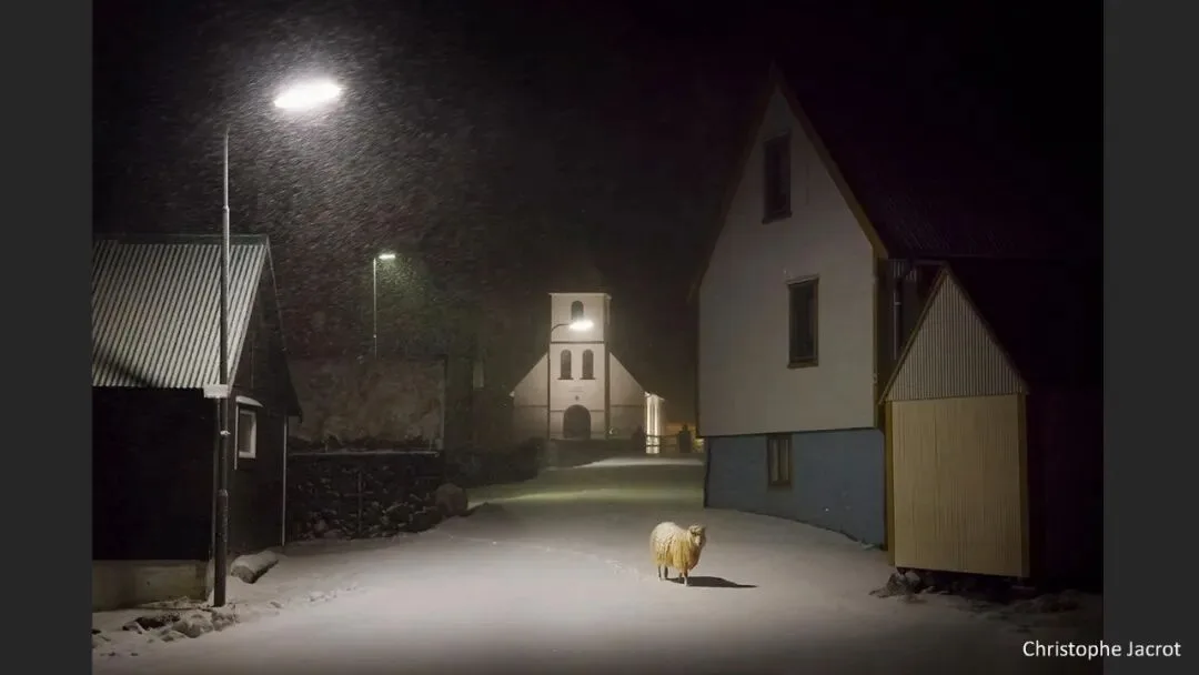 Great Shots in Fog and Haze? Ideas for Fog, Haze and Sandstorm Photography