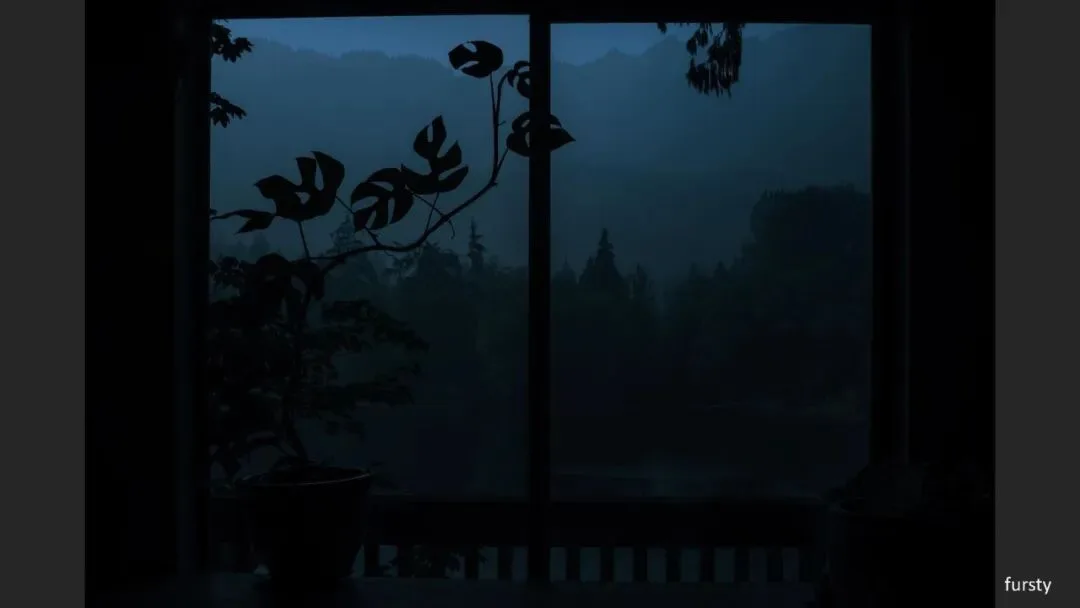 Great Shots in Fog and Haze? Ideas for Fog, Haze and Sandstorm Photography