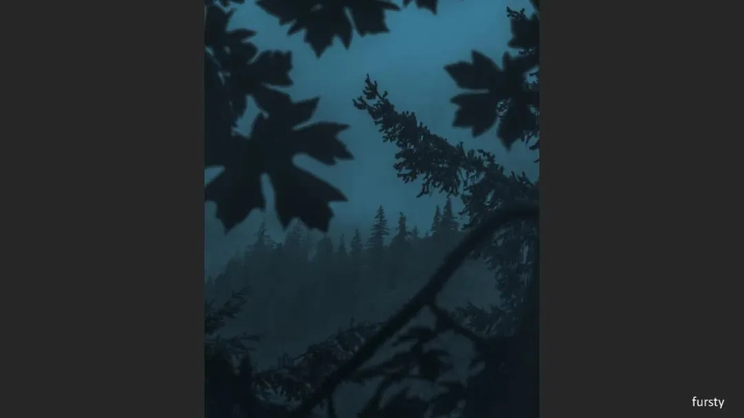 Great Shots in Fog and Haze? Ideas for Fog, Haze and Sandstorm Photography